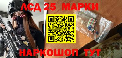 индика Усть-Джегута