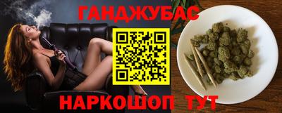 индика Усть-Джегута