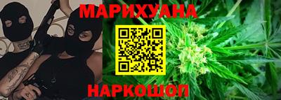 индика Усть-Джегута