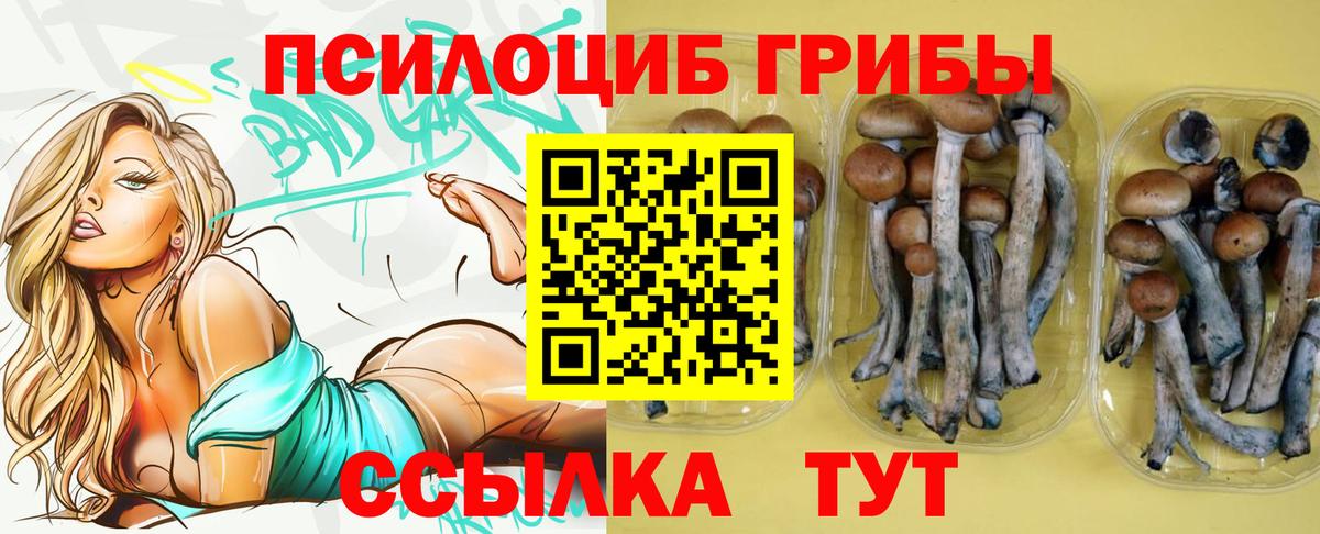Алексеевка  Псилоцибиновые грибы Magic Shrooms  Вход с VPN  Псилоцибиновые грибы Magic Shrooms 